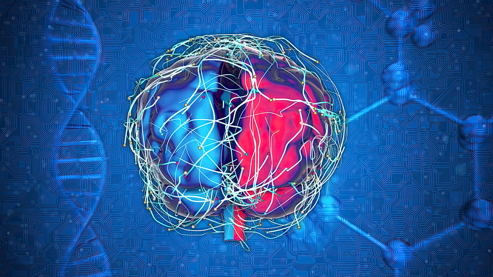 Brain Invisible Blood-Brain Barrier: Invisible Brain Shield