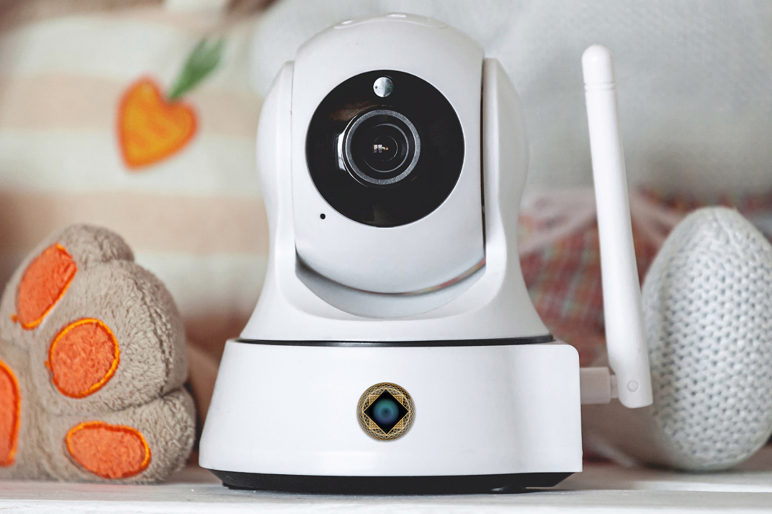 Learning More About Pregnancy Wellness