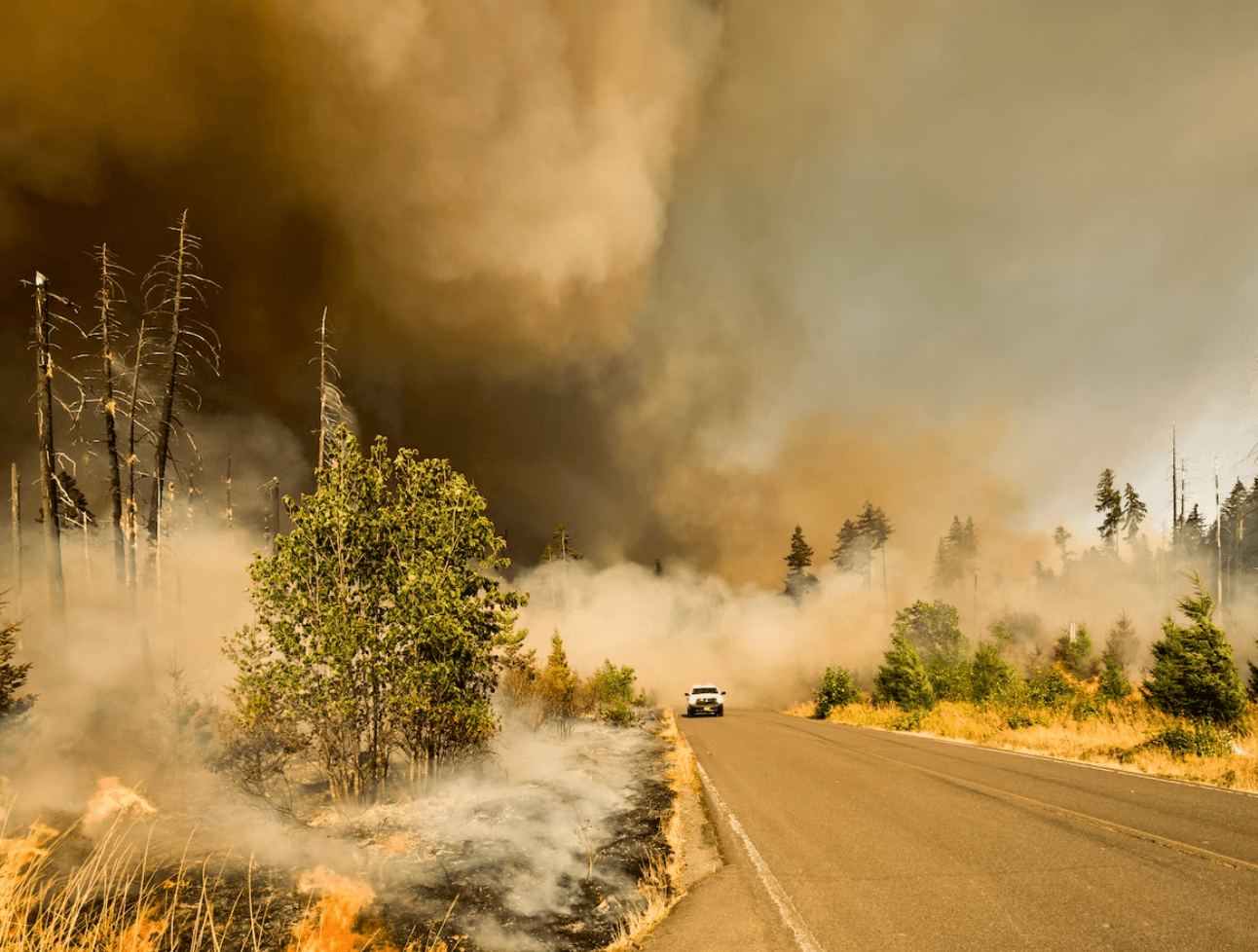 Wildfires and EMFs: A Dual Threat to Health - airestech