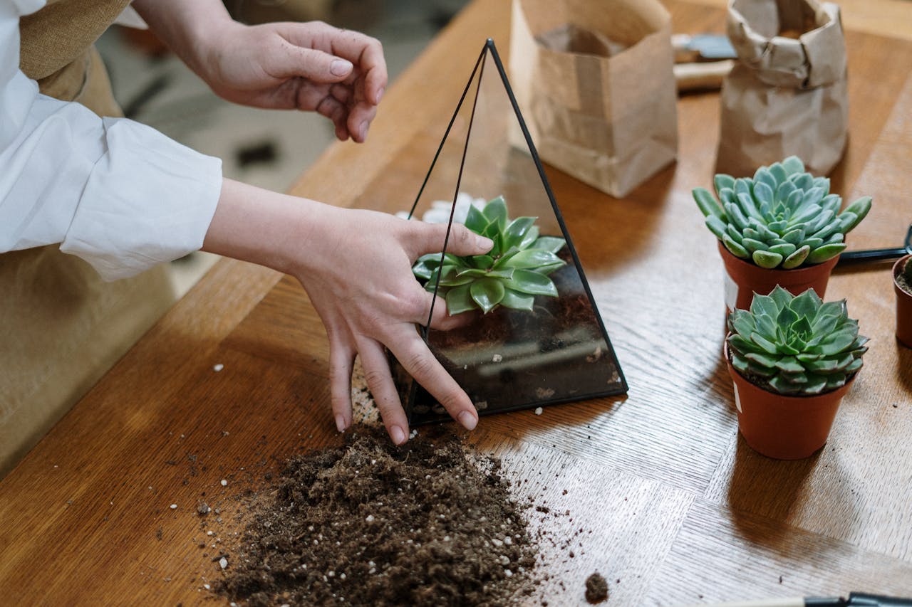 Do EMFs Affect Plants? Here's What Science Says